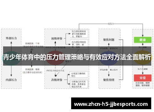 青少年体育中的压力管理策略与有效应对方法全面解析