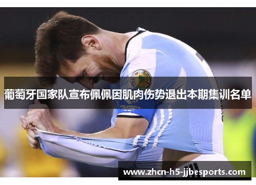 葡萄牙国家队宣布佩佩因肌肉伤势退出本期集训名单